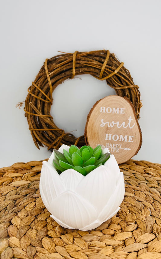 Boho Deko „SuccuVibe“ – Natürliche Leichtigkeit neu interpretiert